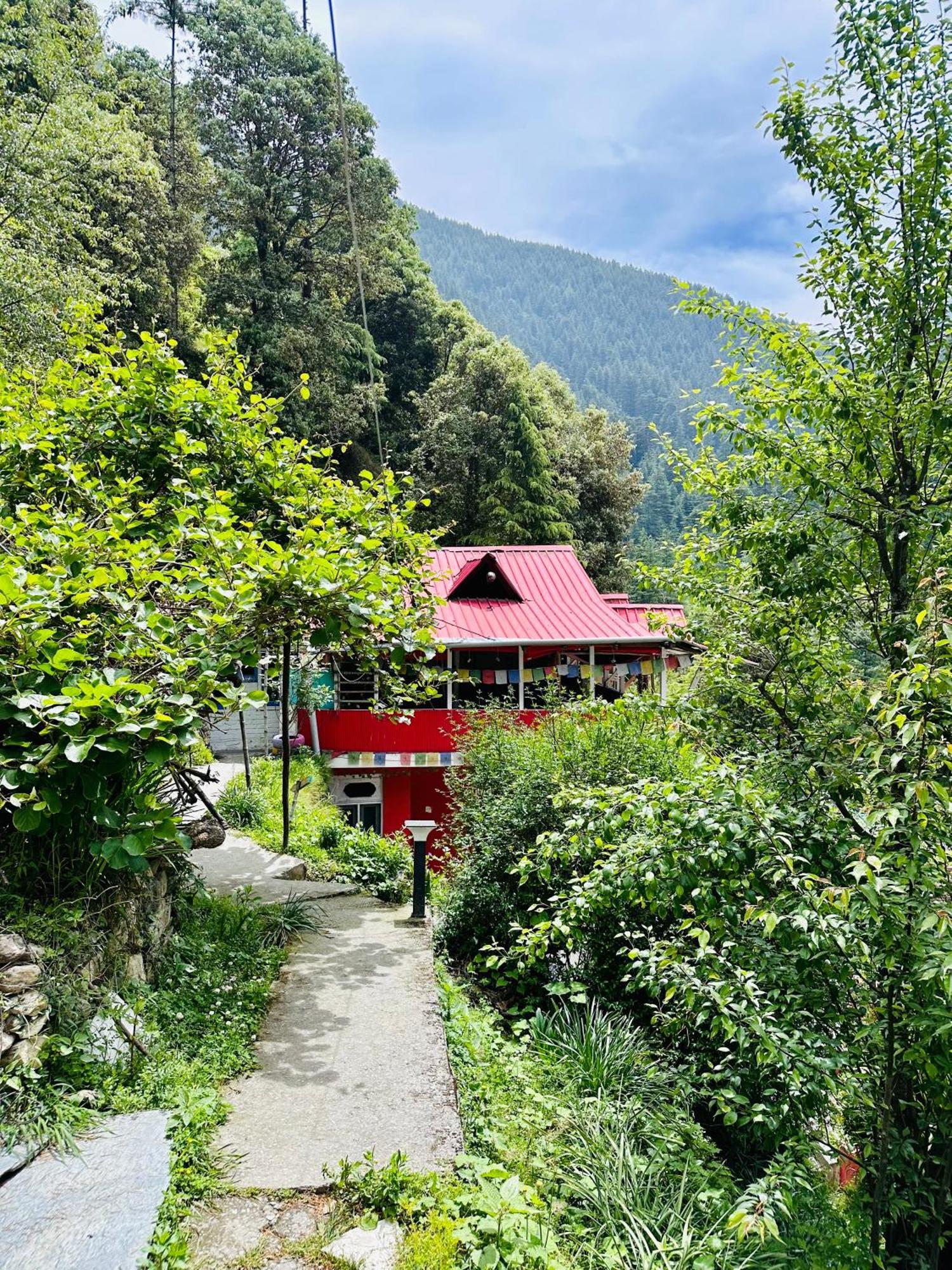 Hostel 360 Degree, Jibhi Dış mekan fotoğraf